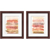 Framed 'Desert Blooms Abstract 2 Piece Framed Art Print Set' border=