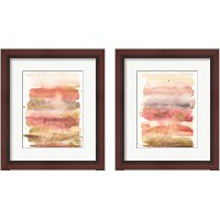 Framed Desert Blooms Abstract 2 Piece Framed Art Print Set