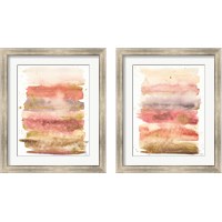 Framed Desert Blooms Abstract 2 Piece Framed Art Print Set