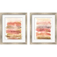 Framed 'Desert Blooms Abstract 2 Piece Framed Art Print Set' border=