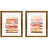 Framed Desert Blooms Abstract 2 Piece Framed Art Print Set