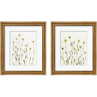 Framed 'White Antique Daisies 2 Piece Framed Art Print Set' border=