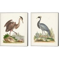 Framed Antique Heron & Cranes 2 Piece Canvas Print Set