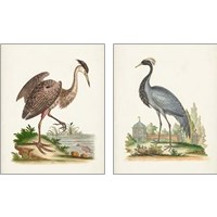 Framed Antique Heron & Cranes 2 Piece Art Print Set