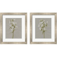 Framed 'White Field Flowers 2 Piece Framed Art Print Set' border=