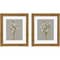 Framed 'White Field Flowers 2 Piece Framed Art Print Set' border=