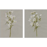 Framed 'White Field Flowers 2 Piece Art Print Set' border=