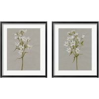 Framed White Field Flowers 2 Piece Framed Art Print Set
