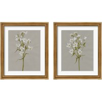 Framed 'White Field Flowers 2 Piece Framed Art Print Set' border=