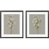 Framed White Field Flowers 2 Piece Framed Art Print Set