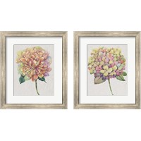 Framed Multicolor Floral 2 Piece Framed Art Print Set