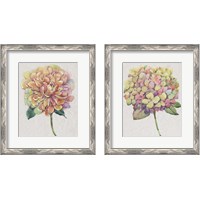Framed 'Multicolor Floral 2 Piece Framed Art Print Set' border=