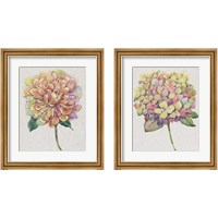 Framed 'Multicolor Floral 2 Piece Framed Art Print Set' border=