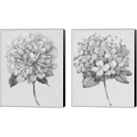 Framed 'Silvertone Floral 2 Piece Canvas Print Set' border=