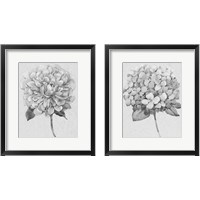 Framed 'Silvertone Floral 2 Piece Framed Art Print Set' border=