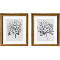 Framed Silvertone Floral 2 Piece Framed Art Print Set