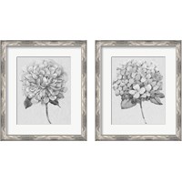 Framed 'Silvertone Floral 2 Piece Framed Art Print Set' border=