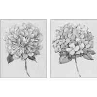 Framed 'Silvertone Floral 2 Piece Art Print Set' border=