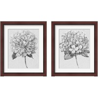 Framed 'Silvertone Floral 2 Piece Framed Art Print Set' border=