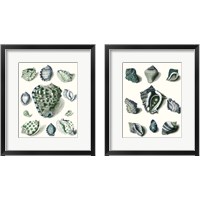 Framed 'Celadon Shells 2 Piece Framed Art Print Set' border=