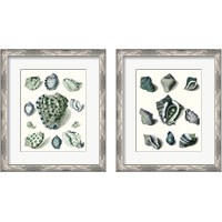 Framed Celadon Shells 2 Piece Framed Art Print Set