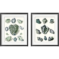 Framed 'Celadon Shells 2 Piece Framed Art Print Set' border=