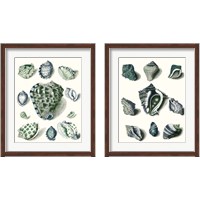 Framed 'Celadon Shells 2 Piece Framed Art Print Set' border=
