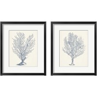 Framed 'Antique Coral Collection 2 Piece Framed Art Print Set' border=