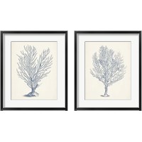 Framed 'Antique Coral Collection 2 Piece Framed Art Print Set' border=