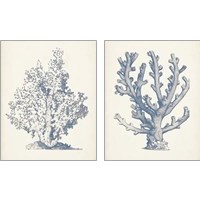 Framed Antique Coral Collection 2 Piece Art Print Set