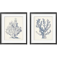 Framed Antique Coral Collection 2 Piece Framed Art Print Set