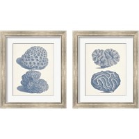 Framed 'Antique Coral Collection 2 Piece Framed Art Print Set' border=