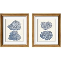 Framed 'Antique Coral Collection 2 Piece Framed Art Print Set' border=
