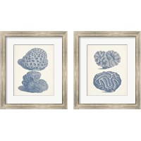 Framed Antique Coral Collection 2 Piece Framed Art Print Set