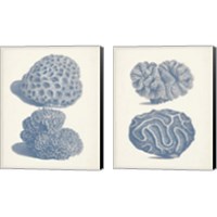 Framed 'Antique Coral Collection 2 Piece Canvas Print Set' border=