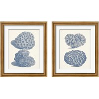 Framed Antique Coral Collection 2 Piece Framed Art Print Set