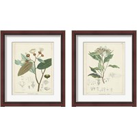 Framed 'Vintage Verdure 2 Piece Framed Art Print Set' border=