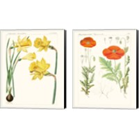 Framed 'Bright Botanicals 2 Piece Canvas Print Set' border=