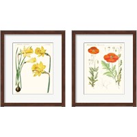 Framed Bright Botanicals 2 Piece Framed Art Print Set