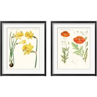 Framed Bright Botanicals 2 Piece Framed Art Print Set