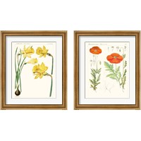 Framed 'Bright Botanicals 2 Piece Framed Art Print Set' border=