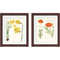 Framed 'Bright Botanicals 2 Piece Framed Art Print Set' border=