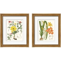 Framed 'Bright Botanicals 2 Piece Framed Art Print Set' border=