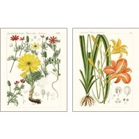 Framed 'Bright Botanicals 2 Piece Art Print Set' border=