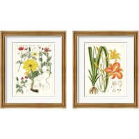 Framed 'Bright Botanicals 2 Piece Framed Art Print Set' border=