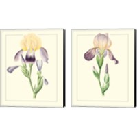 Framed 'Purple Irises 2 Piece Canvas Print Set' border=