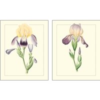 Framed 'Purple Irises 2 Piece Art Print Set' border=
