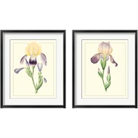 Framed 'Purple Irises 2 Piece Framed Art Print Set' border=