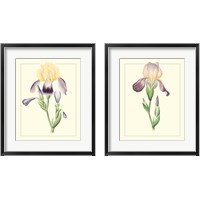 Framed 'Purple Irises 2 Piece Framed Art Print Set' border=
