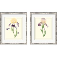 Framed 'Purple Irises 2 Piece Framed Art Print Set' border=